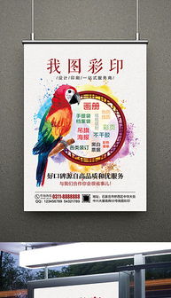 PSD中国图文设计 如何高效使用格式模板与素材提升设计制作效率